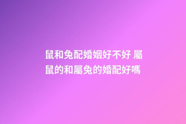 鼠和兔配婚姻好不好 屬鼠的和屬兔的婚配好嗎-第1張-觀點-玄機派